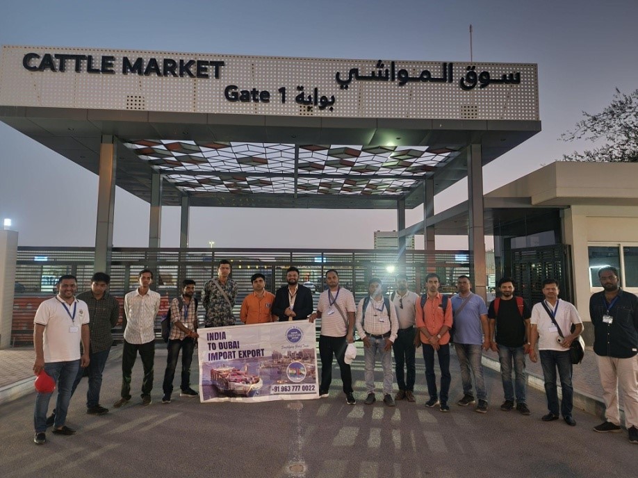 Cattle Feed Market Dubai